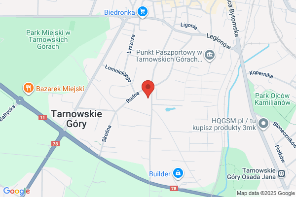 Storczyk. Kwiaciarnia