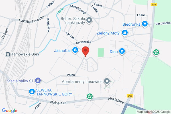 Wodarczyk Rudolf. Nauka jazdy