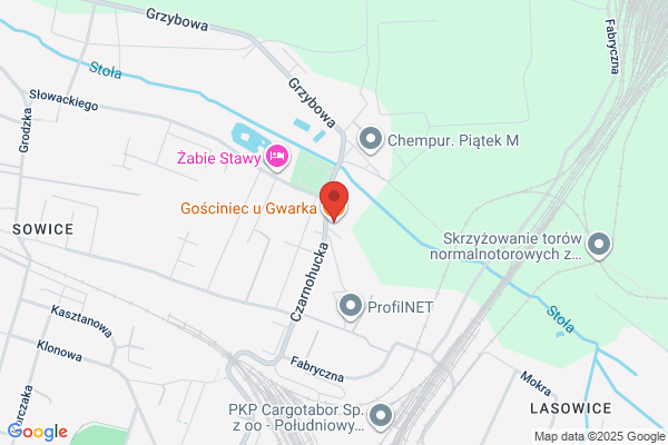 Gwarek Slaski