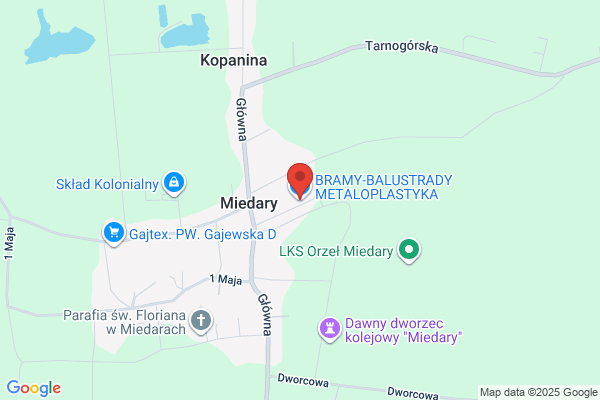 Metaloplastyka. Liszka