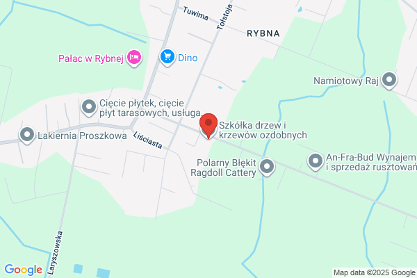 Szkólka drzew i krzewów ozdobnych
