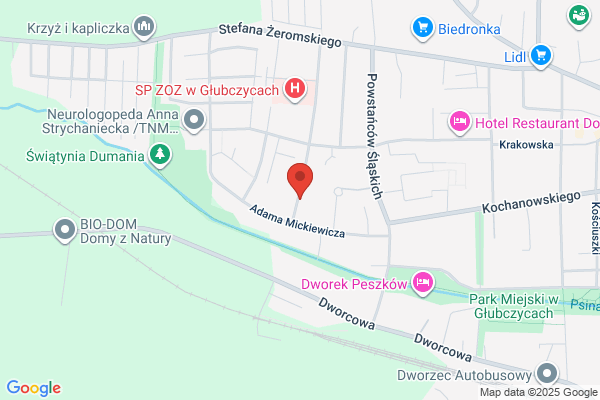 Piekarczyk-Pischka Maria. Laboratorium dentystyczne