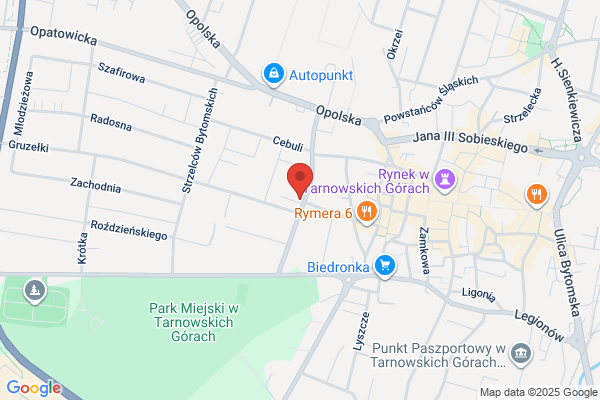Dziubek Jan. Mechanika pojazdowa
