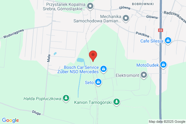 Kotynia Jan. Uslugi przewozowe