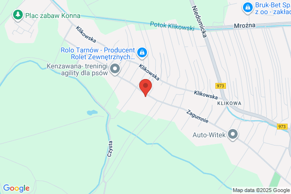 Pieton Piotr. Przewozy autokarowe