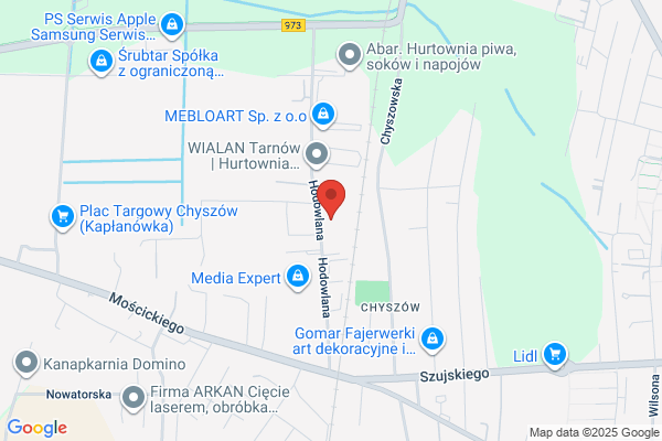 Team. FHU. Hurtownia lodów, mrozonek i ryb