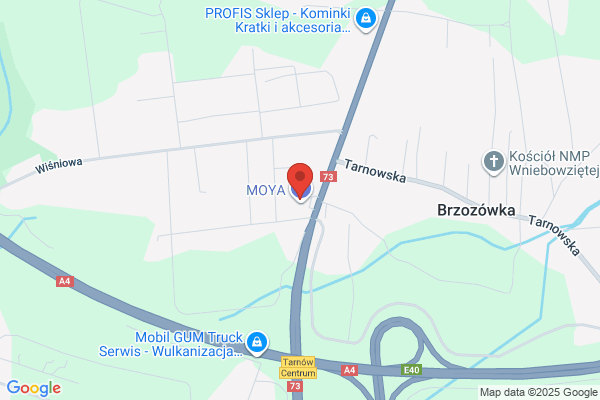 Wektor