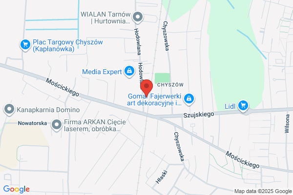 Balut Urszula. Przewóz towarów
