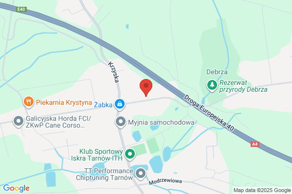 Drewko Pawel. Firma transportowa