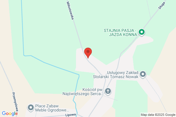 Wachowiak Michal. Zaklad renowacji pa