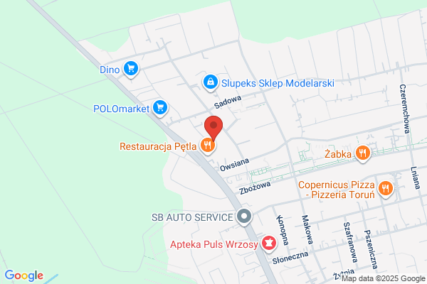 Domeracki Witold. Pracownia elektroniczna