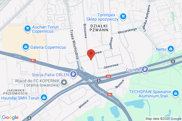 Ciak Jaroslaw. Ekspertyzy mykologiczne. Odgrzybianie, osuszanie, tarasy