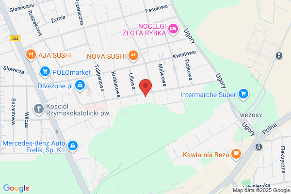 Olszewski Marek, Chrzaszczewski Roman. Drukarnia