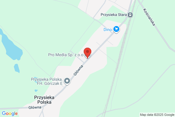Promedia. Uslugi informatyczno - elektroniczne. Grudzinski M.