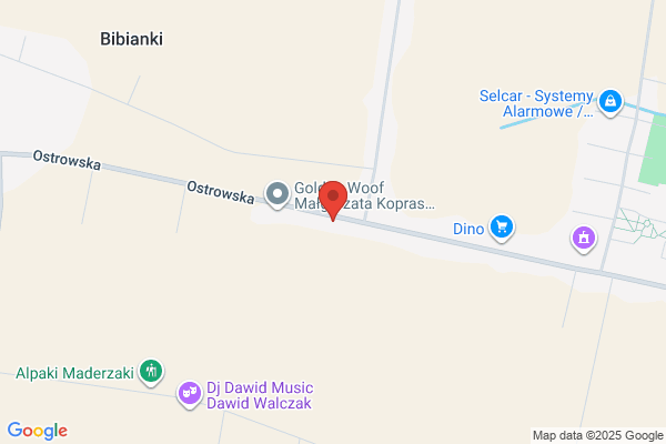 Hortensja. Kwiaciarnia, upominki, poczta kwiatowa. Ptaszek A.