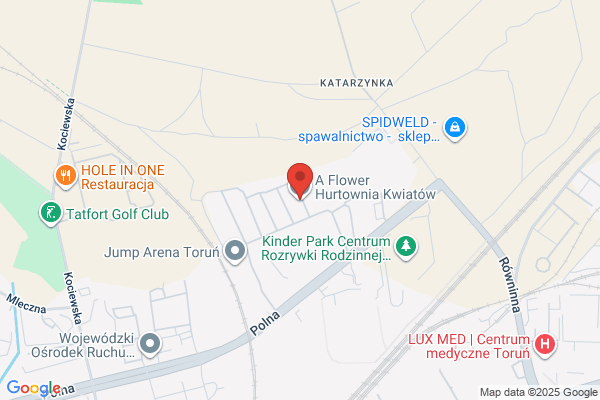 Hurtownia kwiatów K & K SC