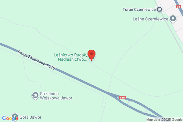 Lesnictwo Rudak. Nadlesnictwo Gniewkowo