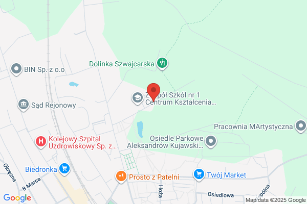 Camerata Vladislavia. Zespól muzyczny. Dziedzielewski M.