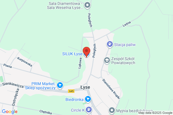 Fason. Cybulscy A., L.