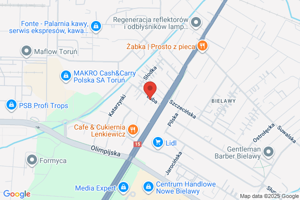 Elektromechanika dzwigowa. Lipiejko Ryszard