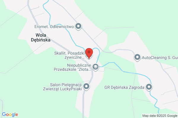 Skallit. Posadzki zywiczne, przemyslowe i sportowe