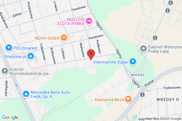 Autoekspert-Torun. Biuro rzeczoznawstwa i uslug motoryzacyjnych