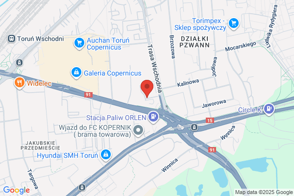 Rzeczoznawcy PZM SA. Oddzial. Rzeczoznawstwo motoryzacyjne i ruchu drogowego