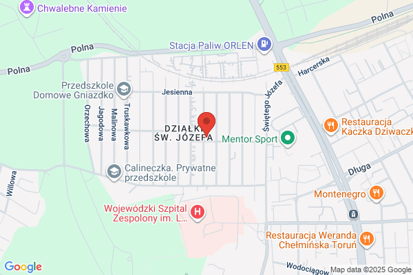 Dmowski Tadeusz. Autoblacharstwo