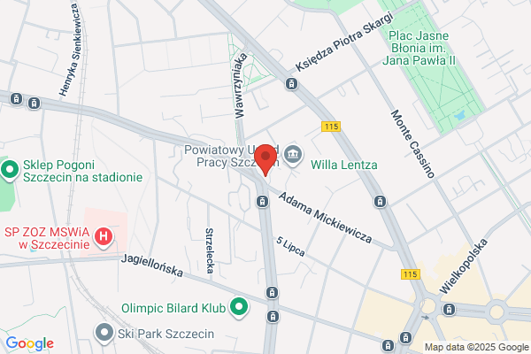Polski Koncern Naftowy Orlen SA. Stacja paliw