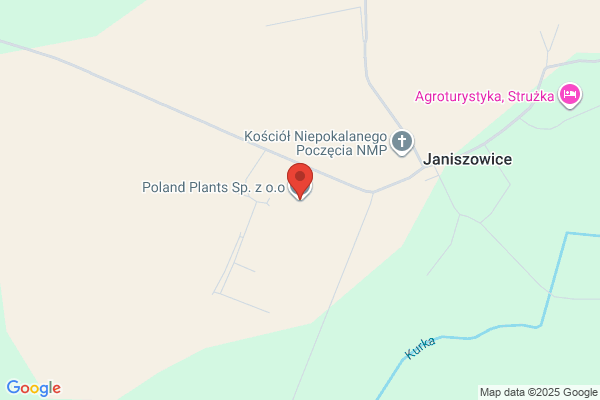 Plants. Uslugi agrotechniczne