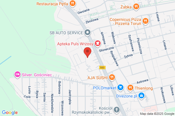 Zielenia Pisane. Pracownia architektury krajobrazu i rzezby