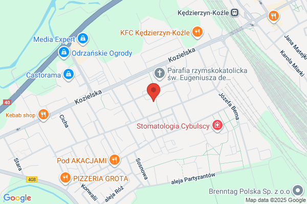 Dresir. Uslugi sekretarskie, pisma uzytkowe i sporzadzanie wniosków. Dreszer I.