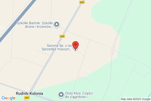 Savonarola.pl. Salwowski M.