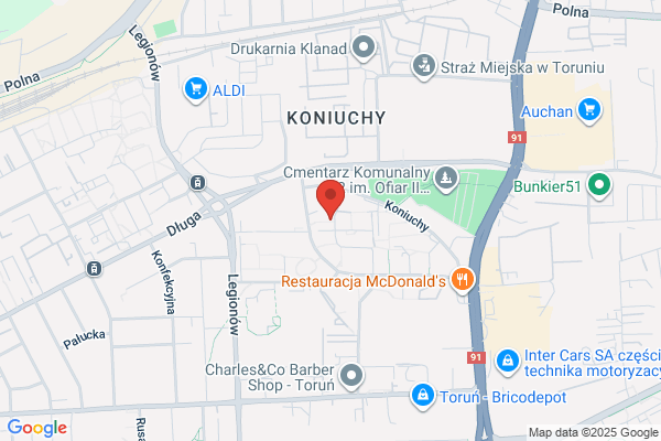 Ruminscy. Zaklad techniczny