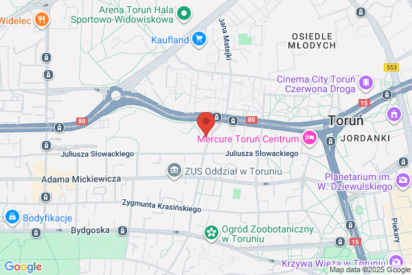Socha-Bystron Stanislaw. Konserwacja dziel sztuki