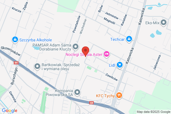 Bus. Osobowy transport samochodowy. Kula S.