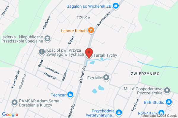 Drewmex. Artykuly drzewne, wiezby, tarcica