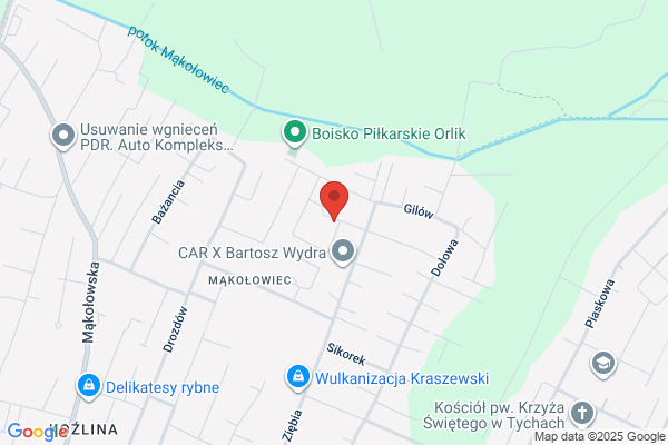 Kilar Elzbieta. Zaklad badan geotechnicznych