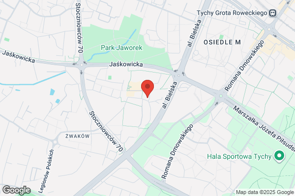 Stokrotka. Kwiaciarnia. Malinowska K.