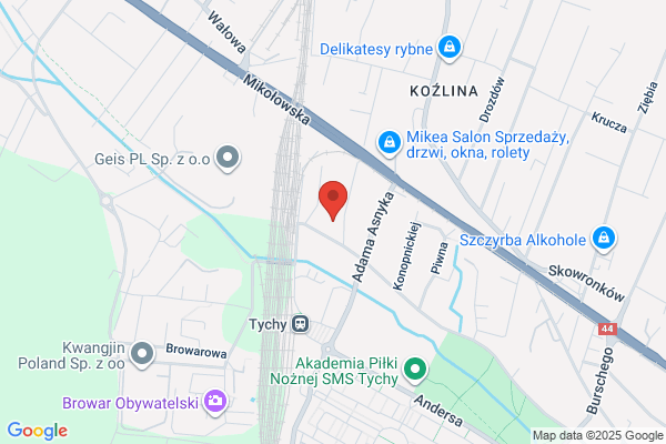 DITTA Polska