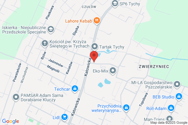 Misiarz Stanislaw, inz. Zaklad sprzetu rehabilitacyjnego