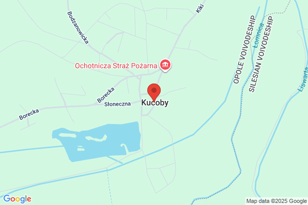 Jawi. Sp. z o.o. Przedsiebiorstwo uslug detektywistycznych i ochrony mienia