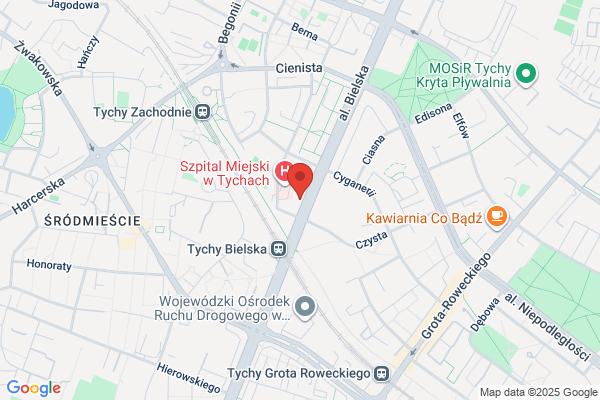 Ceglinska Danuta. Art. szewskie i kaletnicze