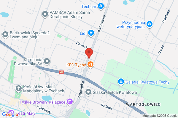 Mario Car. Autoryzowany koncesjoner Peugeot. Wypozyczalnia samochodów