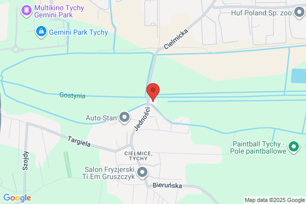 Kolonko Janusz. Naprawa samochodów Audi, VW