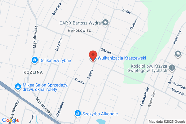 Kraszewski Zenon. Wulkanizacja