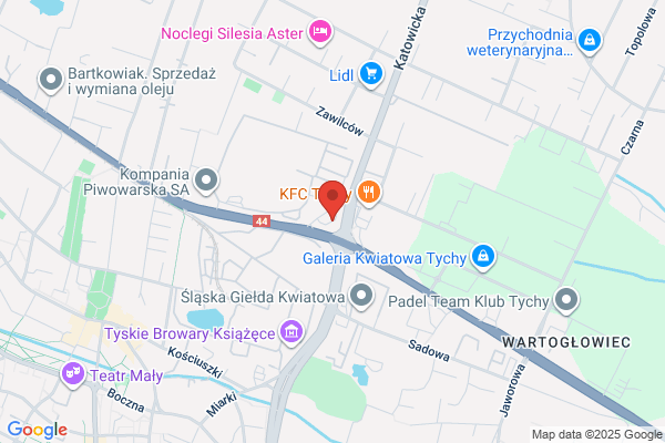 Polski Koncern Naftowy Orlen SA. Stacja paliw