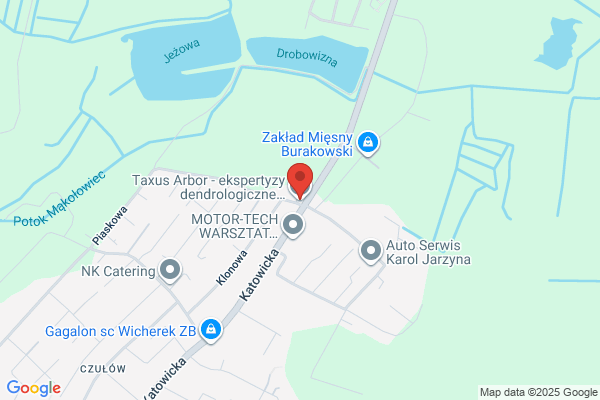Fuchs Zbigniew. Zaklad ogrodniczy. Konserwacja terenów zielonych