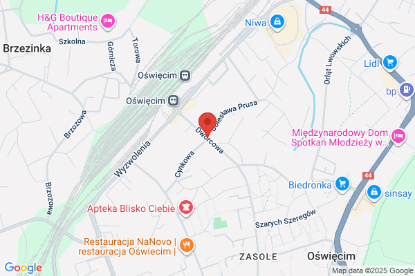 Zaklad Przewozów Towarowych w Czechowicach - Dziedzicach. Oddzial