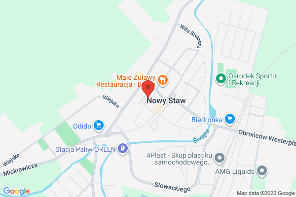 Dworakiewicz Waldemar. Nauka jazdy